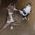 Foto 1 de Etalon05