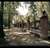 Foto 3 de javimoso