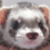 Avatar de lauibcre