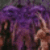 Avatar de satirycon